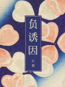 负债280万的真实例子