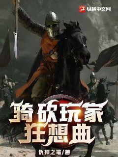 骑砍玩家都是什么人