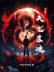 天龙医圣小说