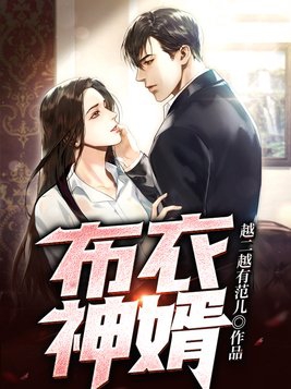 布衣神婿在线阅读